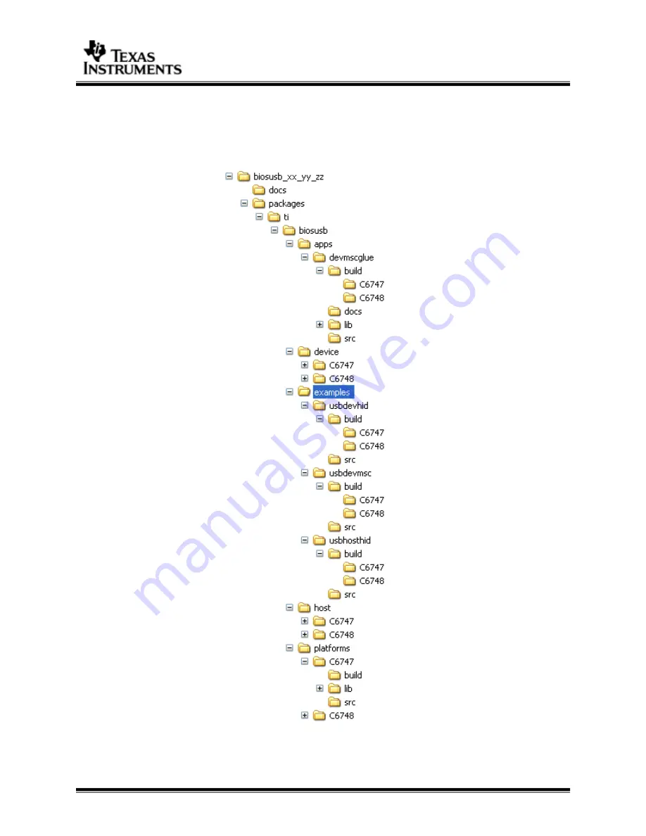 Texas Instruments BIOSUSB User Manual Download Page 10