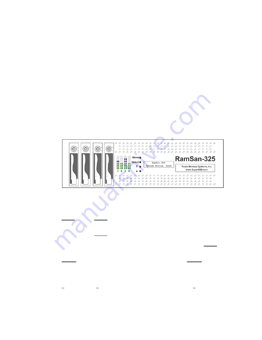 Texas Memory Systems RamSan-325 Скачать руководство пользователя страница 16