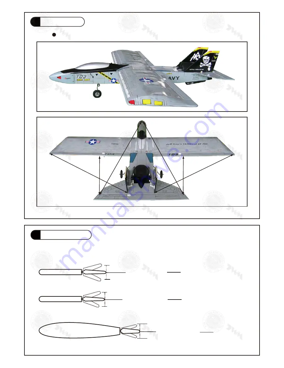 THE WORLD MODELS Jeff Troy's TAMEcat DF Trainer Скачать руководство пользователя страница 11