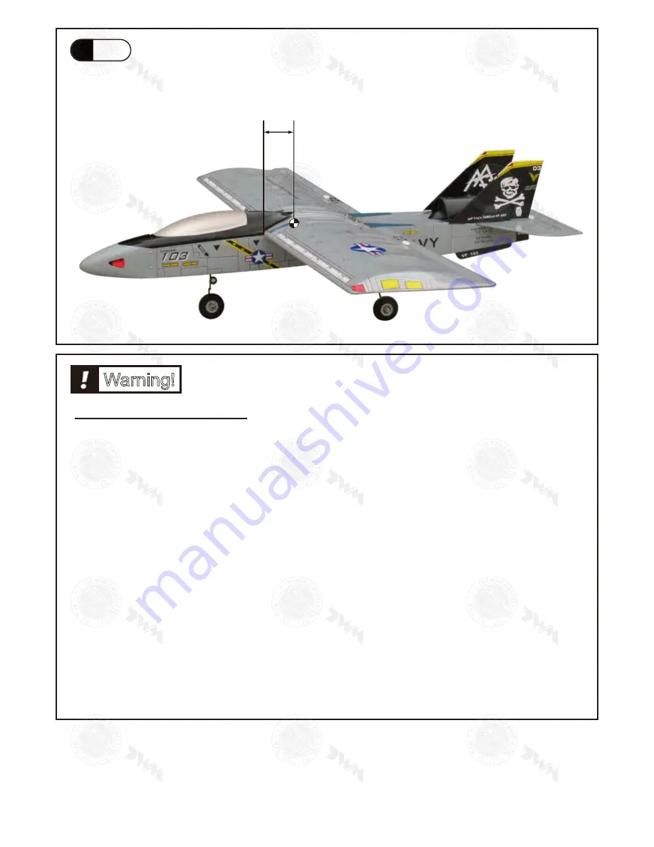 THE WORLD MODELS Jeff Troy's TAMEcat DF Trainer Скачать руководство пользователя страница 12