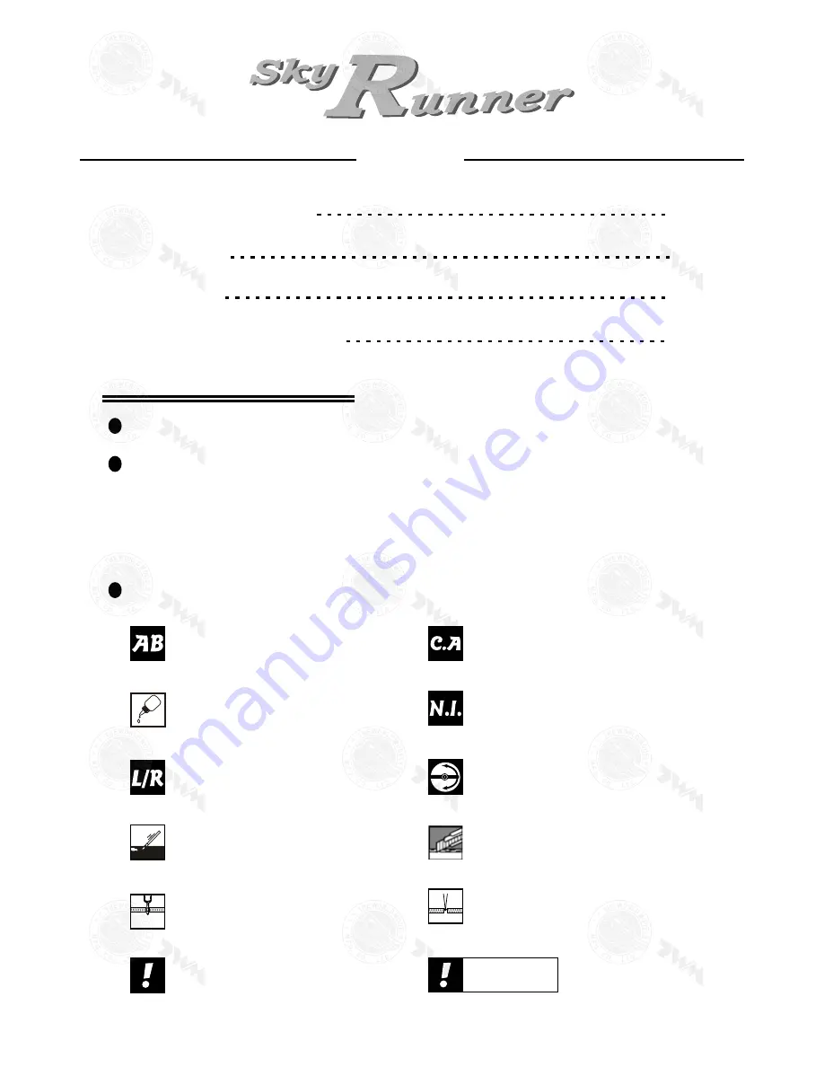 THE WORLD MODELS Sky Runner Instruction Manual Download Page 2