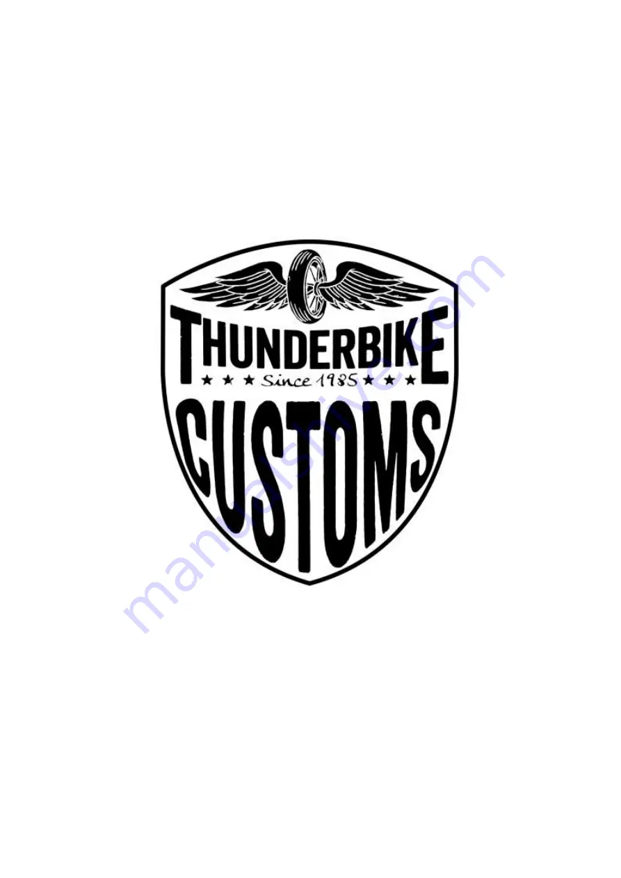 Thunderbike 61-77-010 Скачать руководство пользователя страница 1