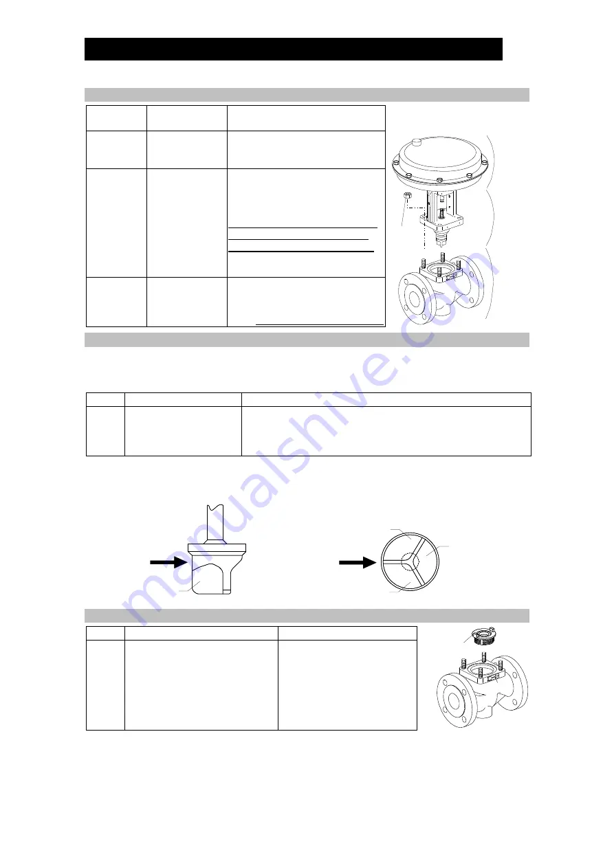 TLV CV10 Instruction Manual Download Page 14