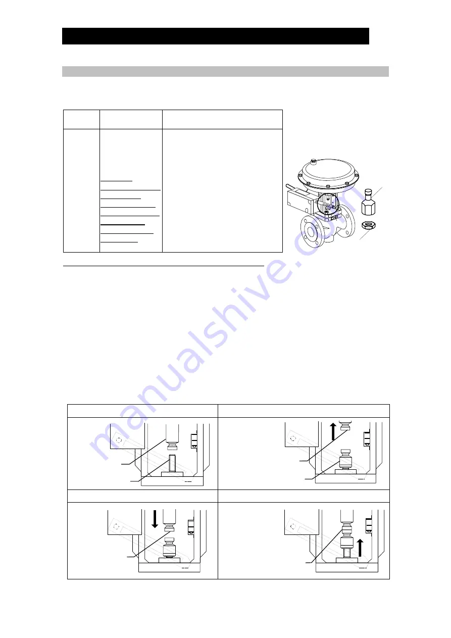 TLV CV10 Instruction Manual Download Page 16