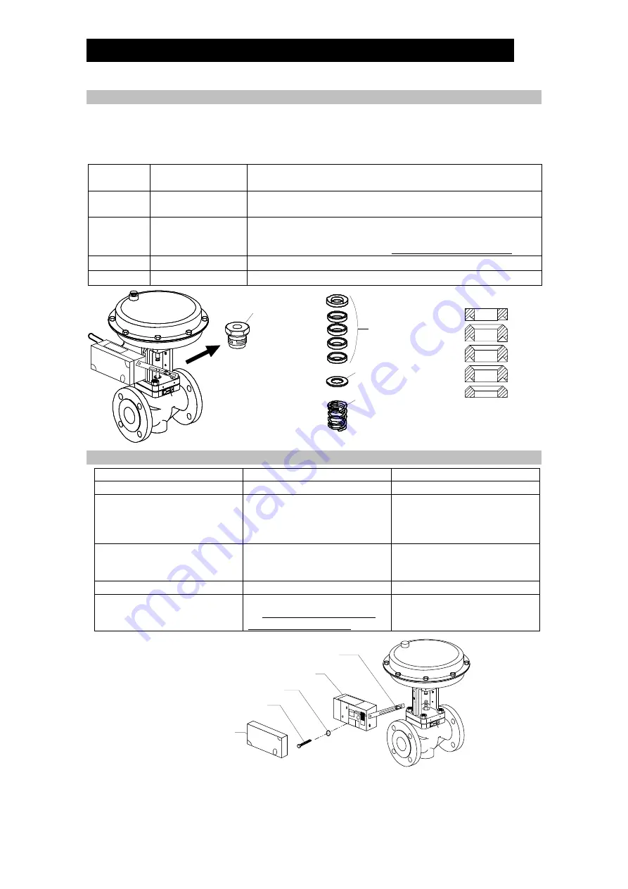 TLV CV10 Instruction Manual Download Page 17