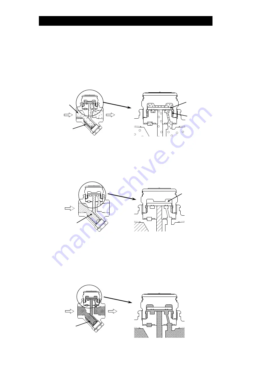 TLV PowerDyne P46SRM Скачать руководство пользователя страница 6