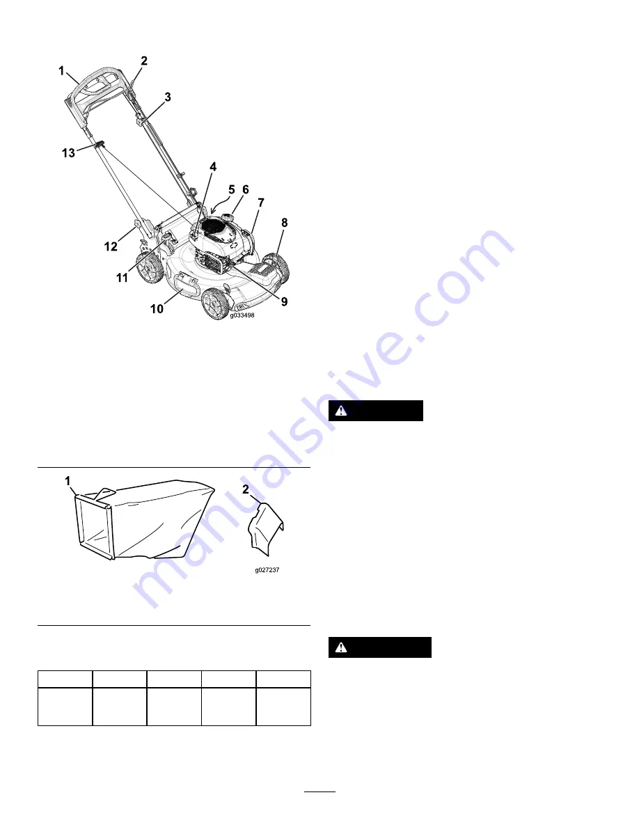 Toro Recycler 20960 Скачать руководство пользователя страница 10