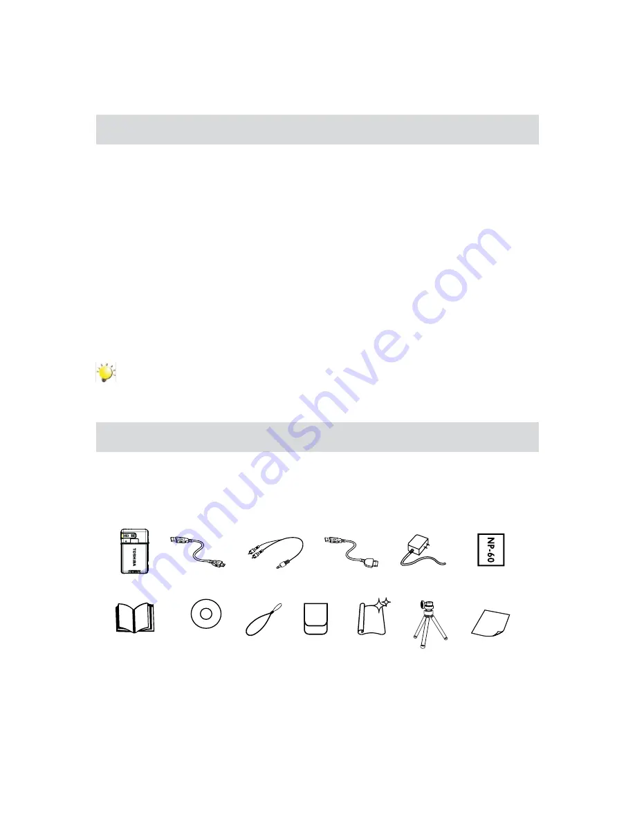 Toshiba CAMILEO S10 User Manual Download Page 6