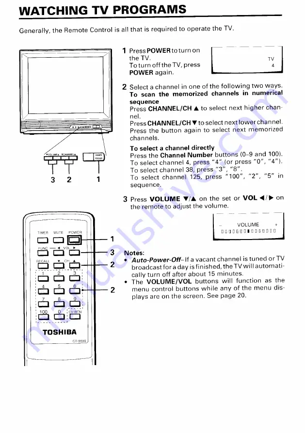 Toshiba CH20C01 Скачать руководство пользователя страница 15