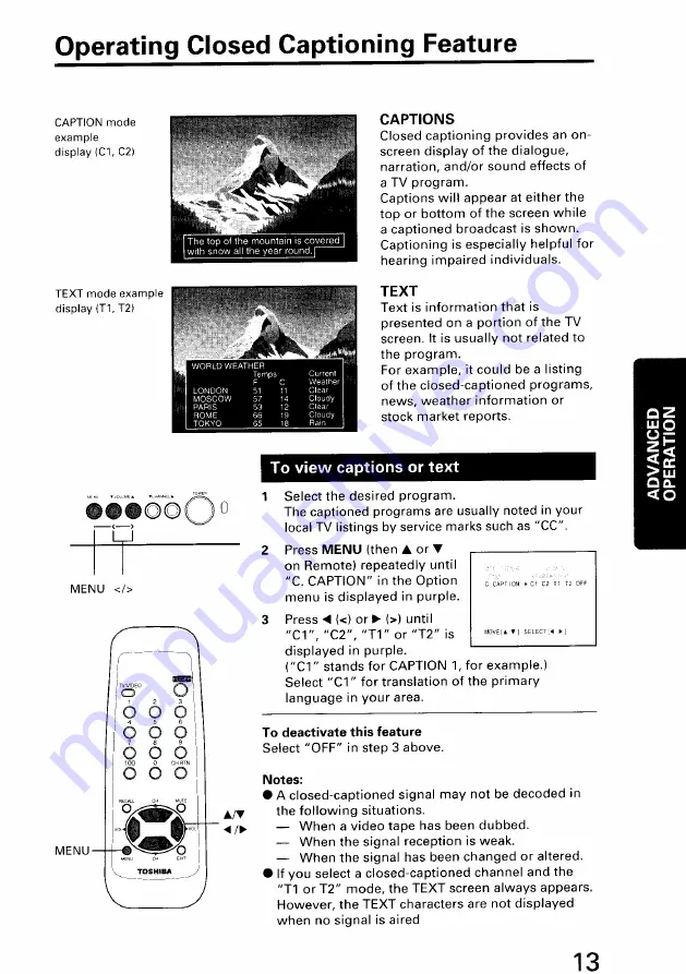 Toshiba CZ19M21 Owner'S Manual Download Page 13