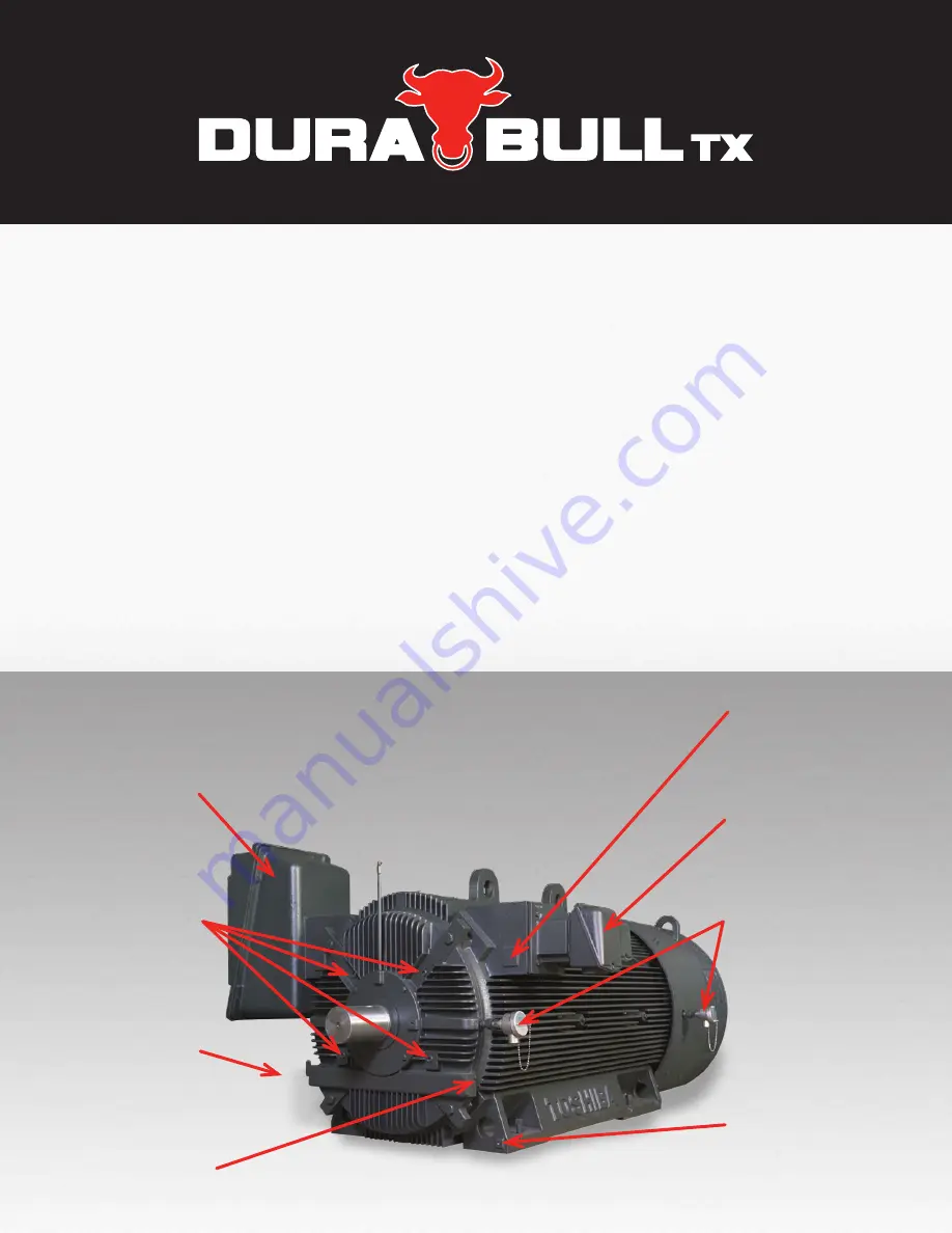 Toshiba Dura-Bull TX Brochure & Specs Download Page 2