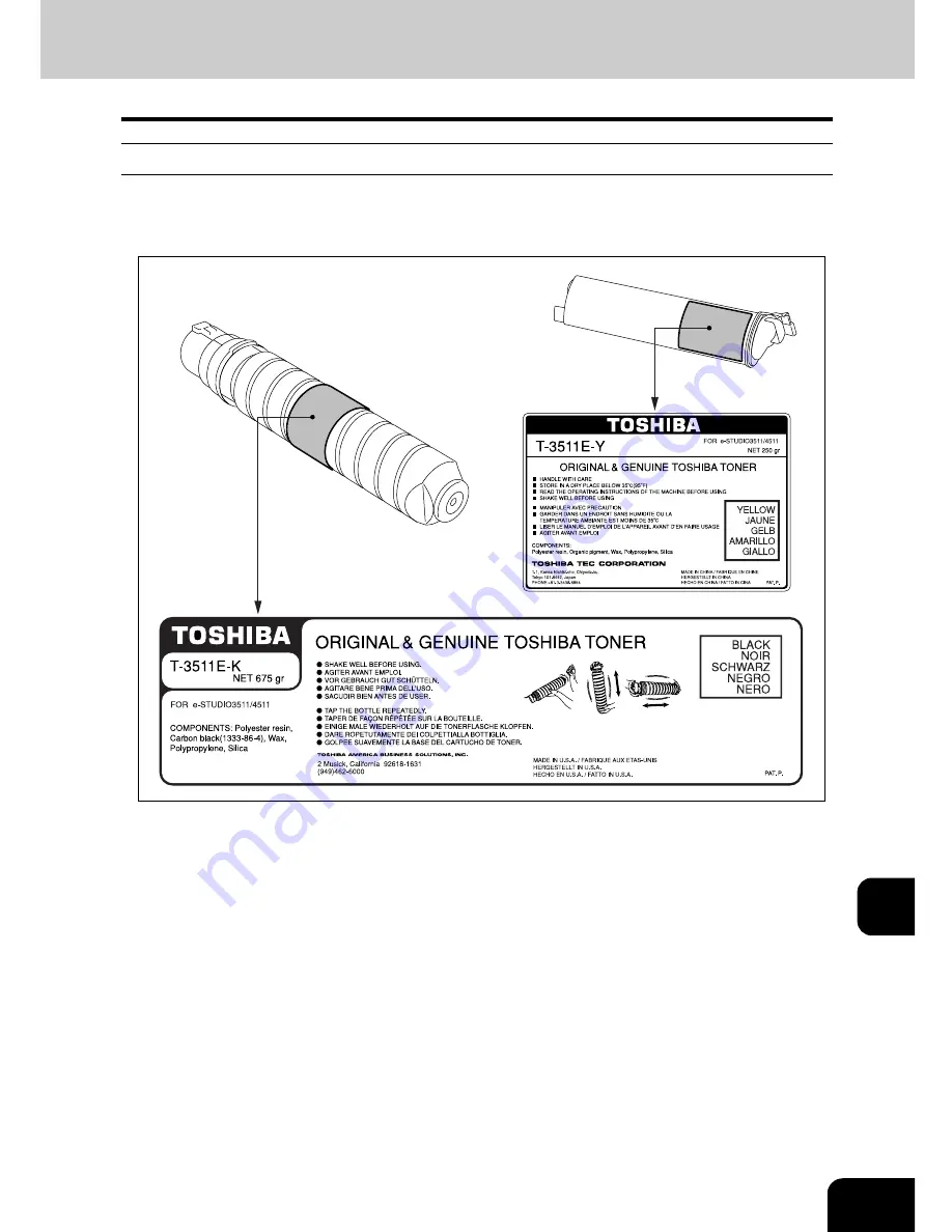 Toshiba e-STUDIO 4511 Скачать руководство пользователя страница 249