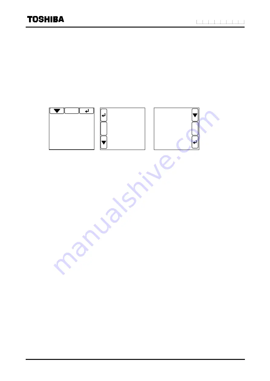 Toshiba LF516 Скачать руководство пользователя страница 38