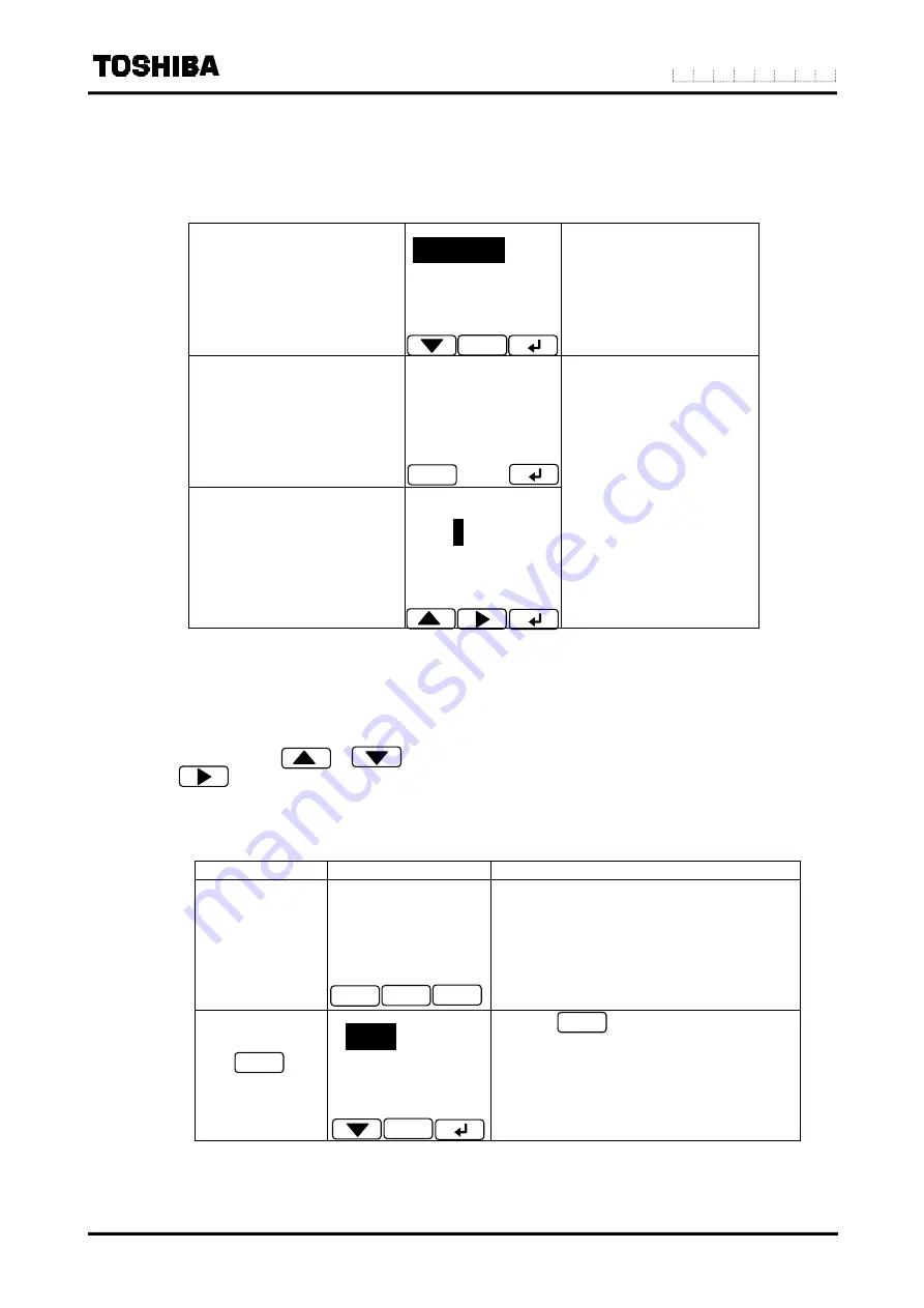 Toshiba LF516 Скачать руководство пользователя страница 47