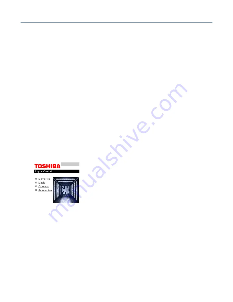 Toshiba SG20 - Magnia - Web Server Скачать руководство пользователя страница 253