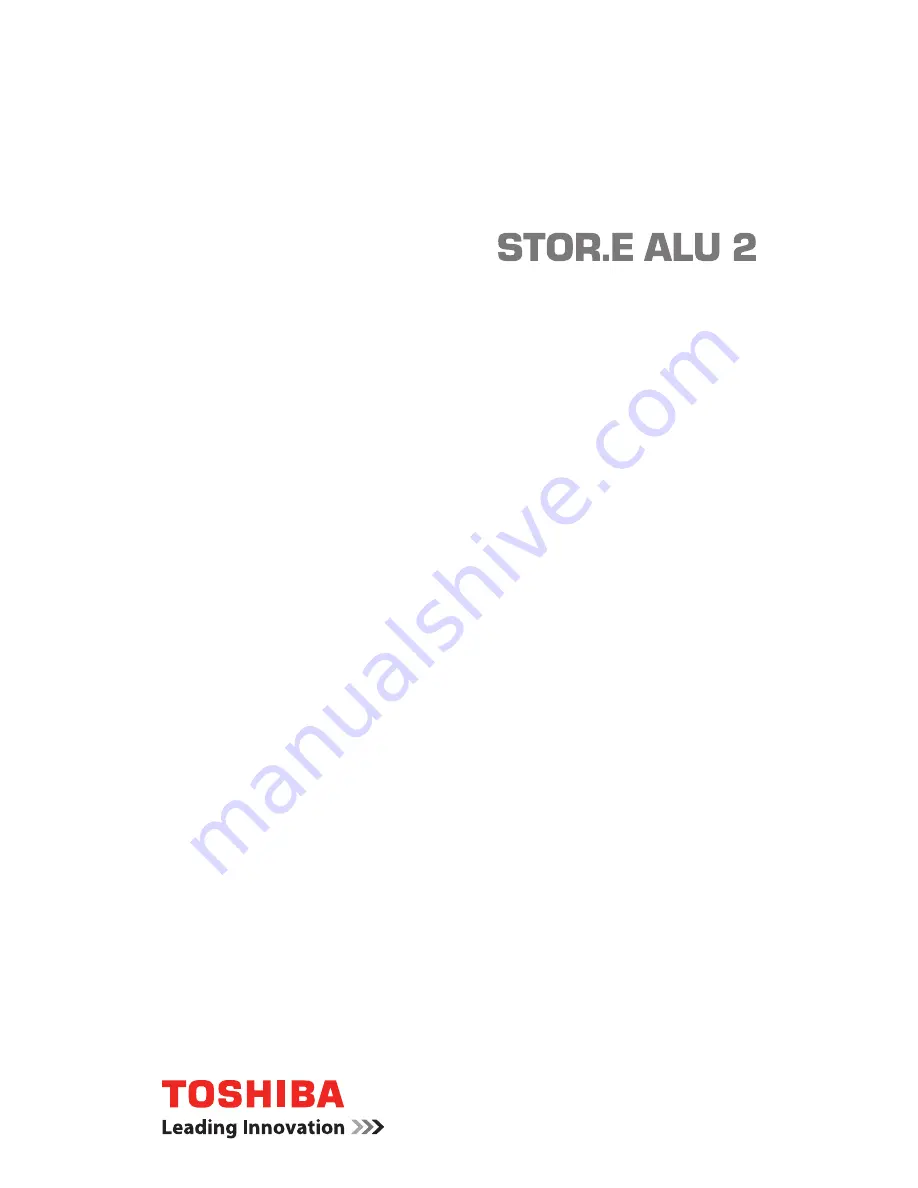 Toshiba STOR.E ALU 2 User Manual Download Page 19