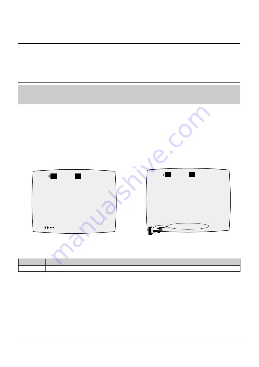 Toshiba VCP-C8 Скачать руководство пользователя страница 43