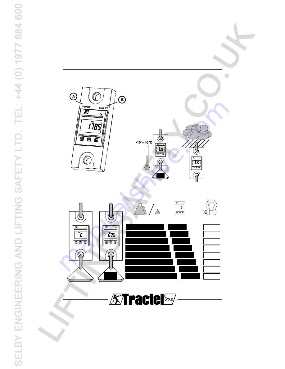 Tractel dynafor LLZ Operating Instructions Manual Download Page 2