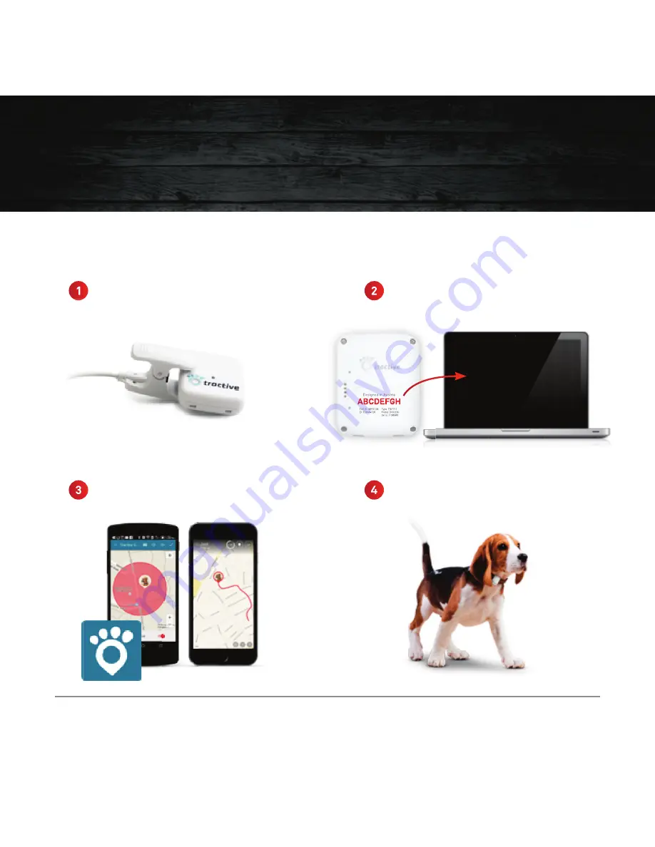 Tractive GPS PET TRACKING User Manual Download Page 21