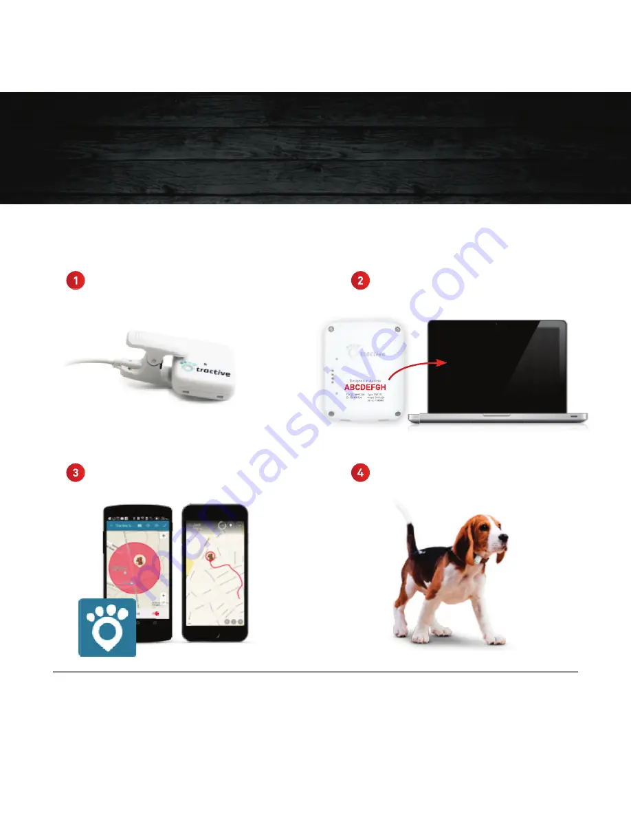 Tractive GPS PET TRACKING Скачать руководство пользователя страница 31