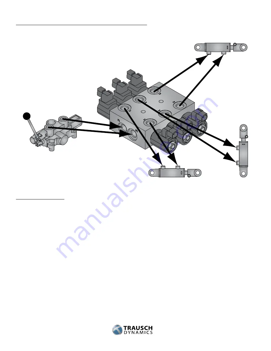 TRAUSCH DYNAMICS PoppetPLUS 3 Скачать руководство пользователя страница 3