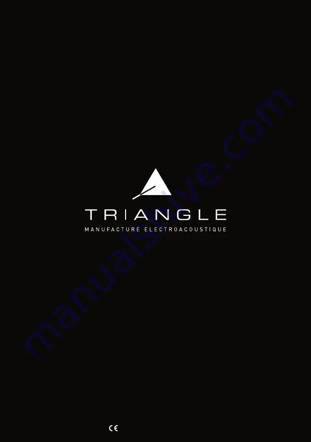 TriangleTube AIO TWIN Owner'S Manual & Warranty Download Page 31