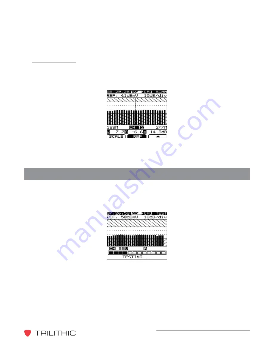 Trilithic Two Operation Manual Download Page 48