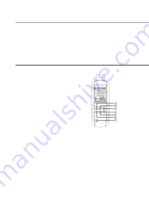 Triplett DPR302 User Manual Download Page 2