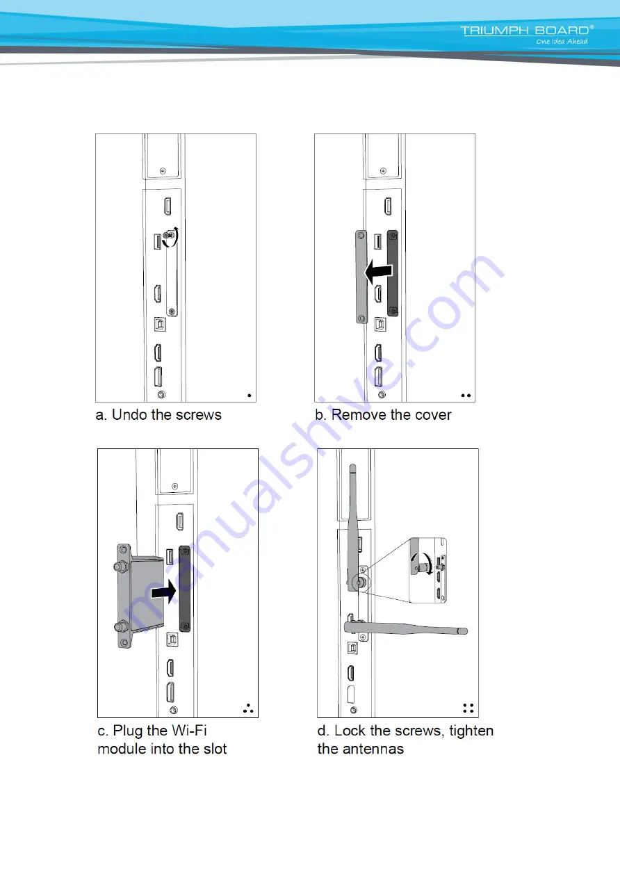 TRIUMPH BOARD IFP Series User Manual Download Page 3