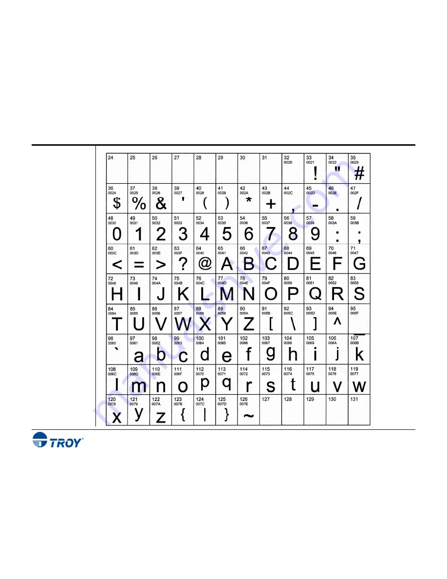 TROY Group Font DIMM Printer Скачать руководство пользователя страница 21