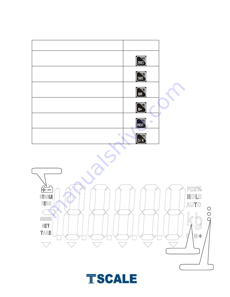 TScale BW Series Скачать руководство пользователя страница 10