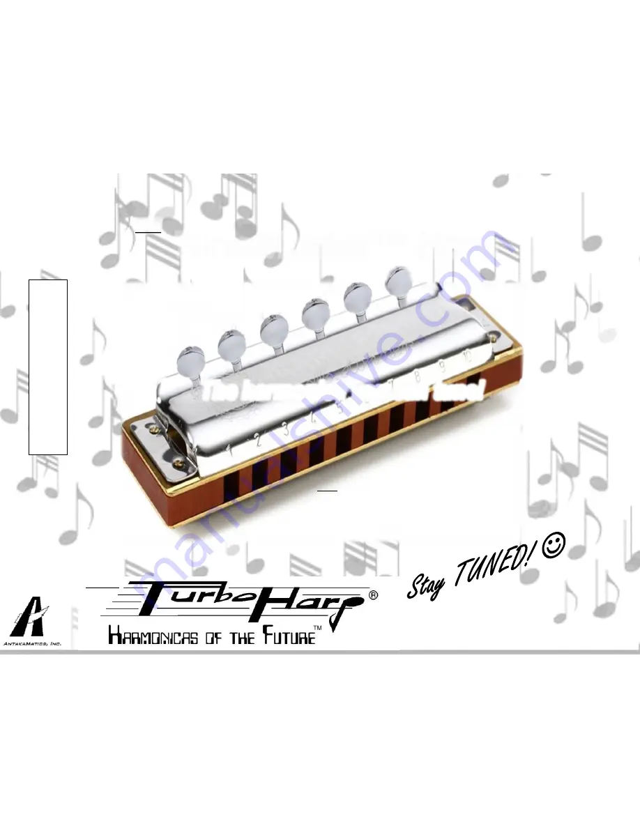 Turboharp TuneMaster Скачать руководство пользователя страница 1