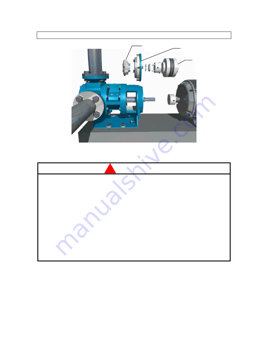 Tuthill GG015 Скачать руководство пользователя страница 13