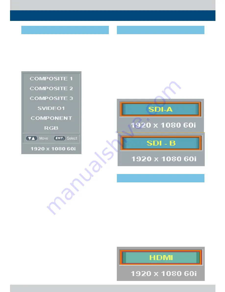 TVLogic LVM-074W Скачать руководство пользователя страница 21