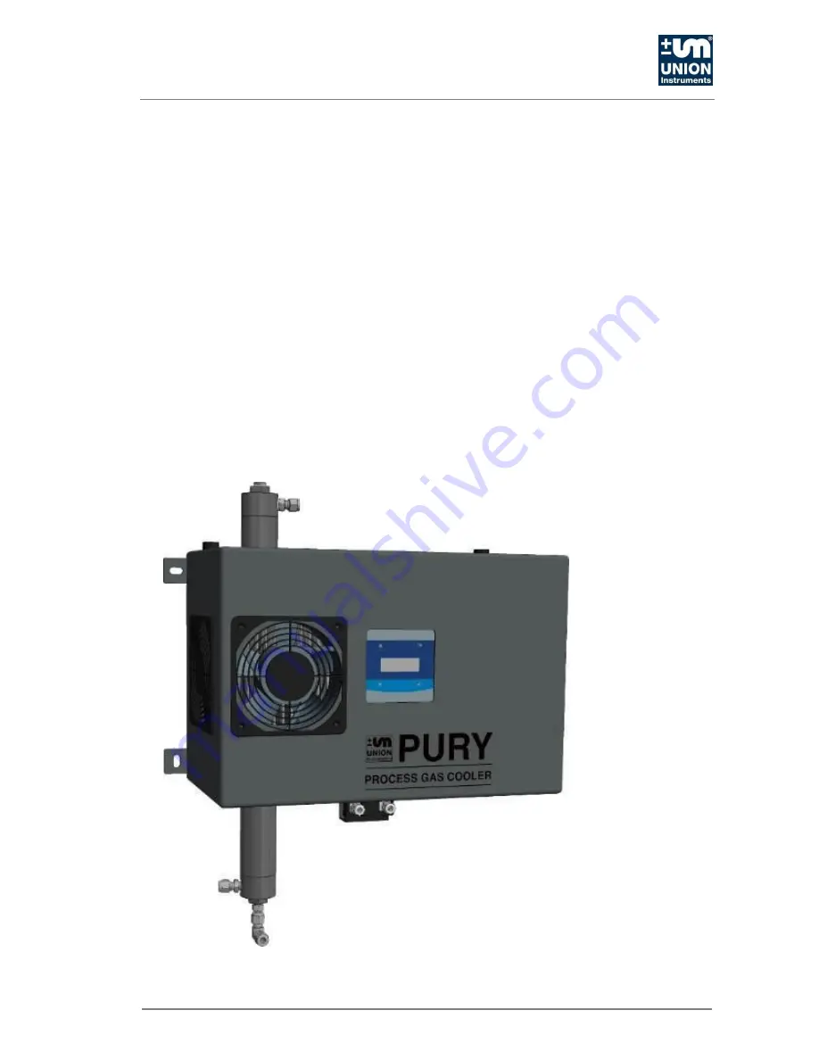 Union Instruments Pury250 S Operating Instructions Manual Download Page 1