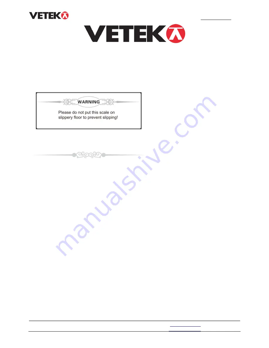 Vetek CW263BT User Manual Download Page 1