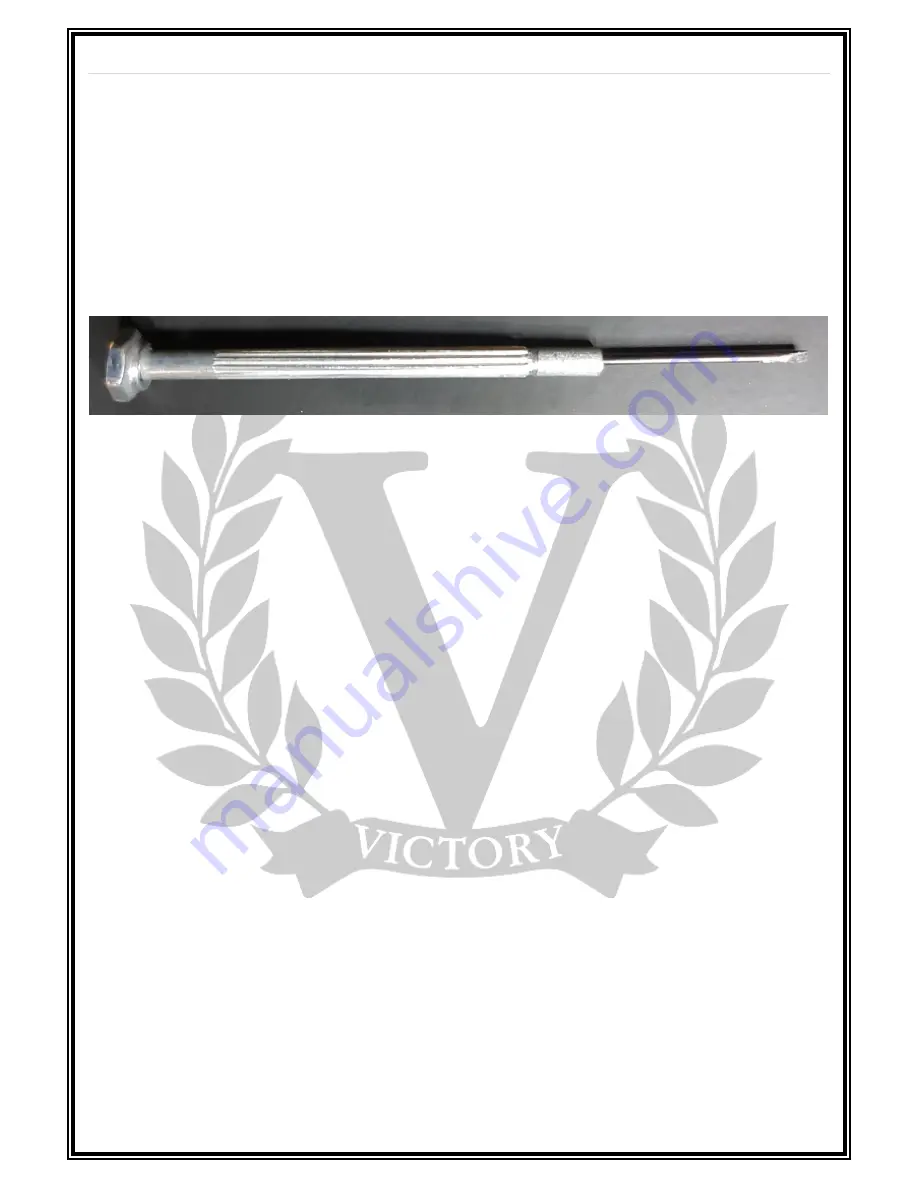 Victory V40 Deluxe The Duchess User Manual Download Page 10