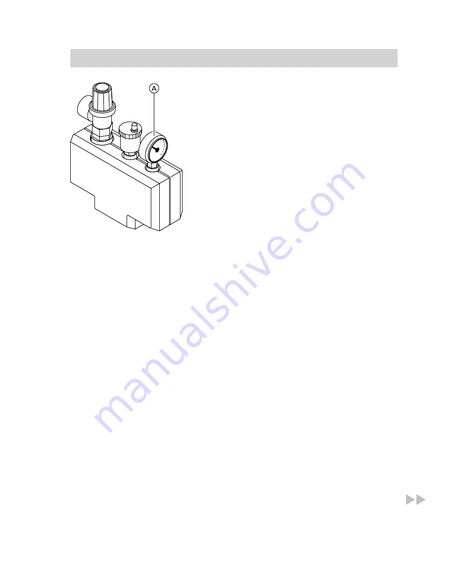 Viessmann Vitogas 200-F GS2 Скачать руководство пользователя страница 9