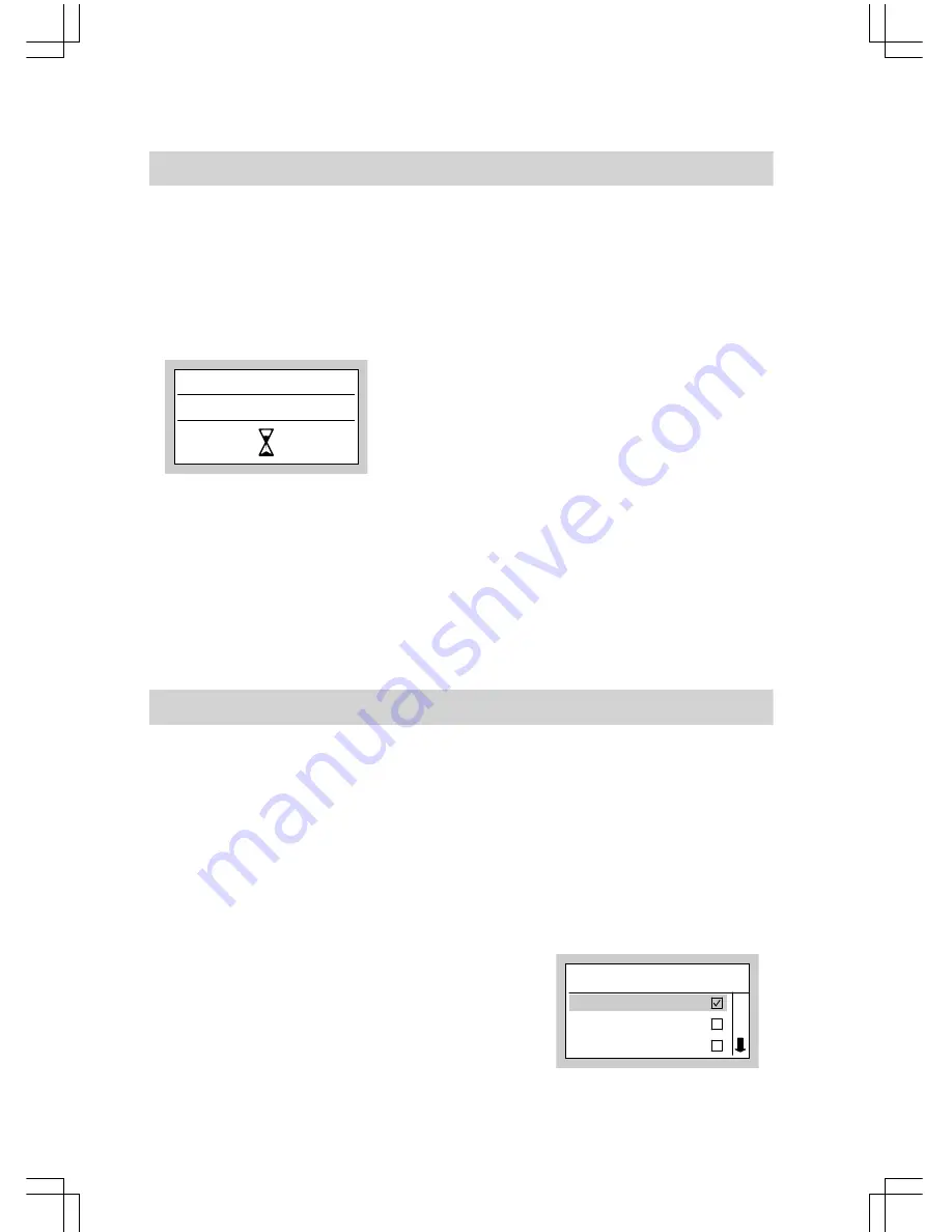 Viessmann VITOLIGNO 300-P Operating Instructions Manual Download Page 12