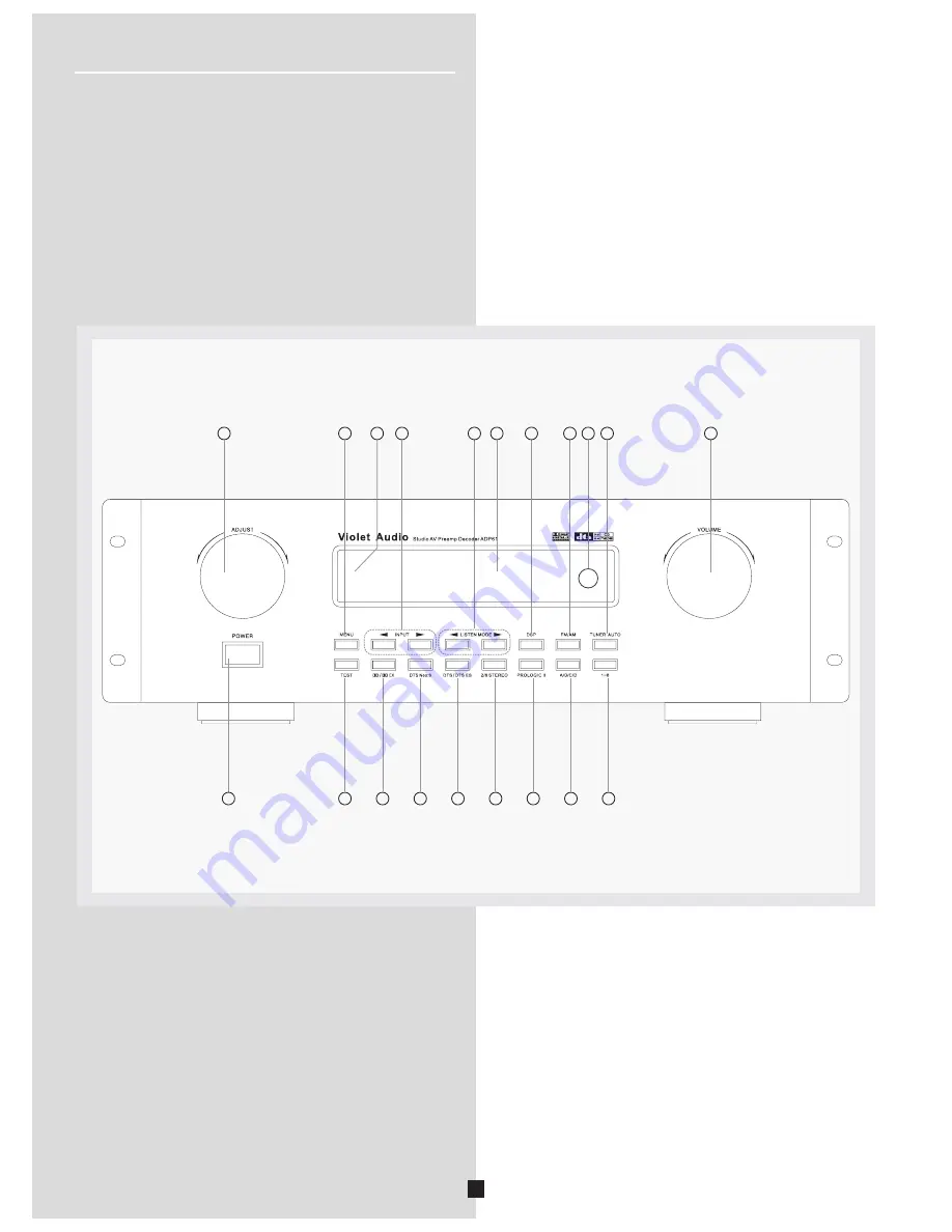 Violet Audio ADP61 Скачать руководство пользователя страница 12