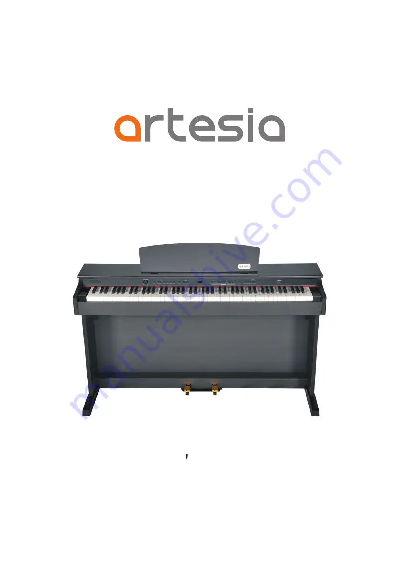 Virgin Musical Instruments Artesia DP-2 Скачать руководство пользователя страница 1