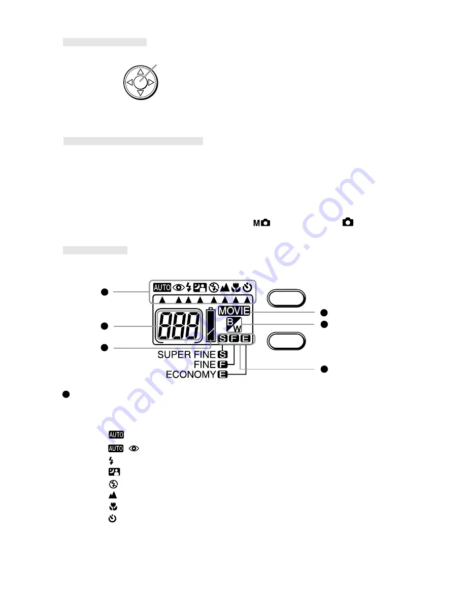 Vivitar Vivicam 3635 User Manual Download Page 11