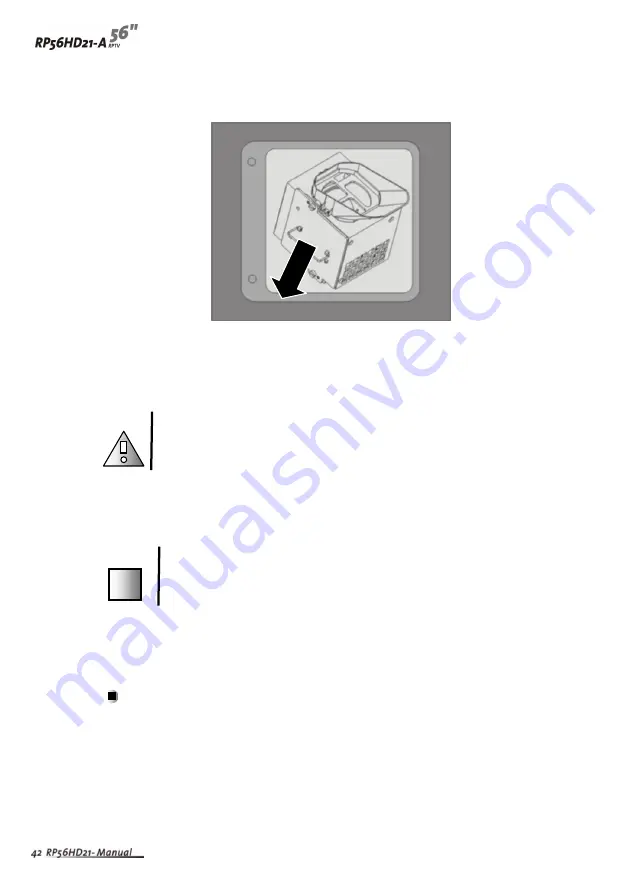 Vivitek RP56HD21-A User Manual Download Page 45