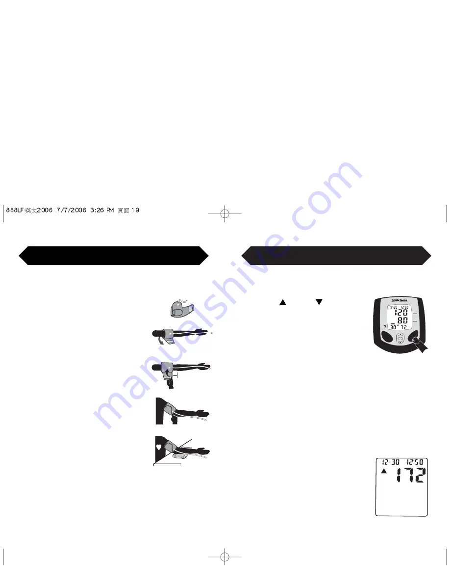 Walgreens BD-7181W Скачать руководство пользователя страница 10