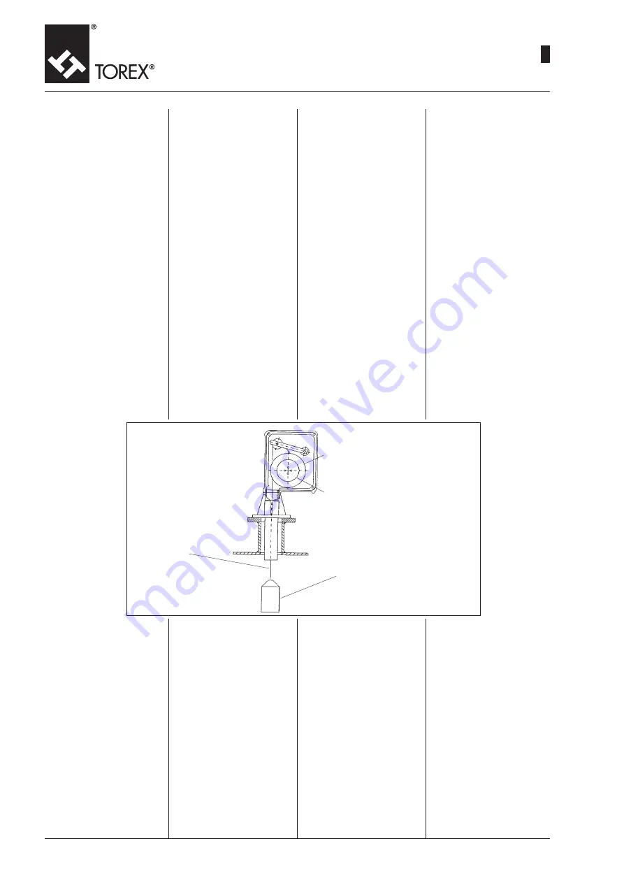 WAMGROUP Torex ILS Manual Download Page 38