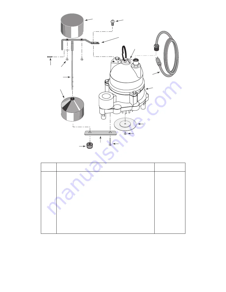 Water Ace R50VLT Owner'S Manual Download Page 6