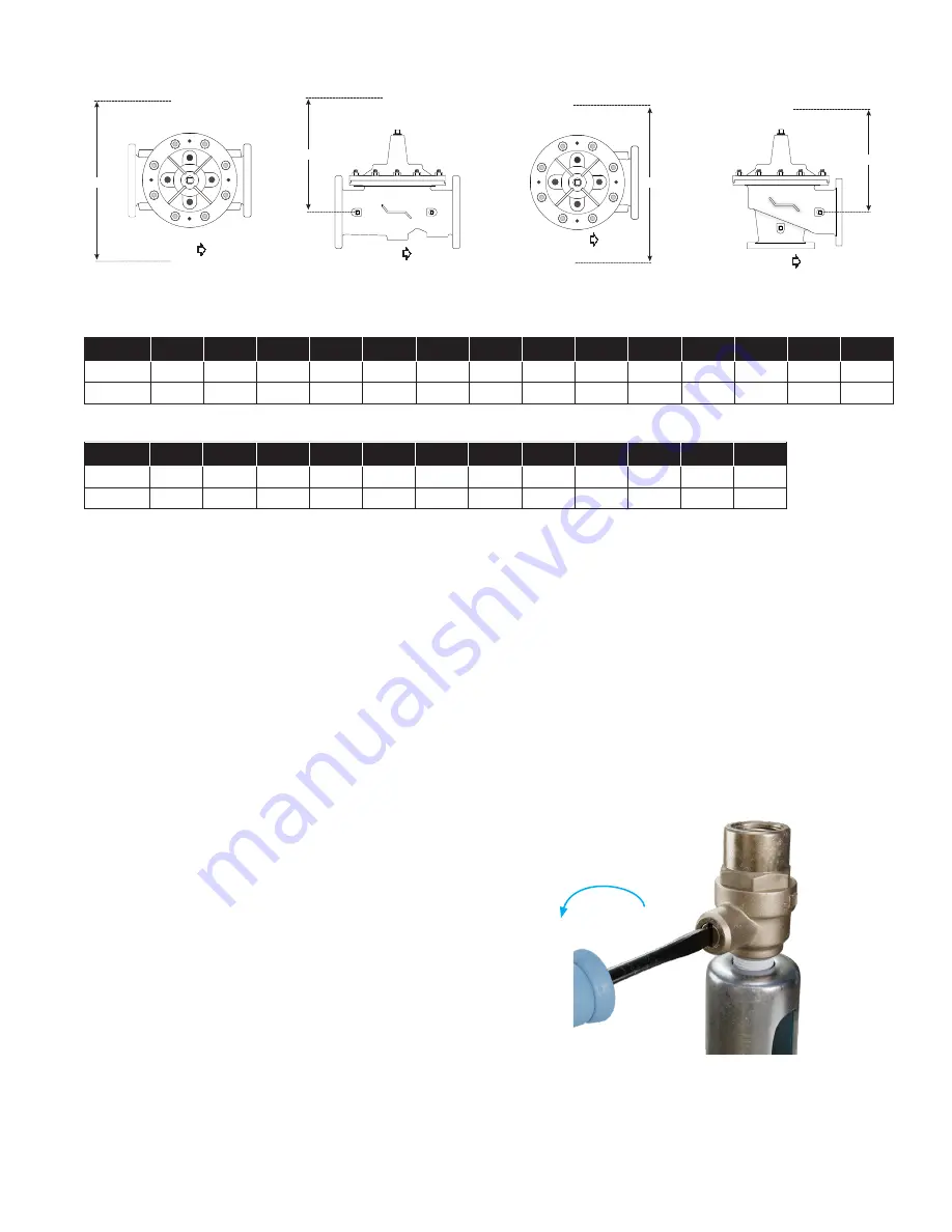 Watts LFM110-13 Installation Operation & Maintenance Download Page 3