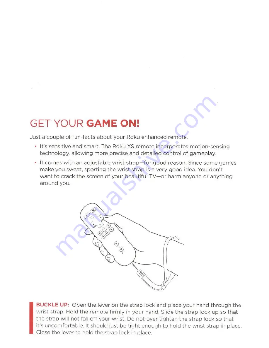 Wave Roku User Manual Download Page 14