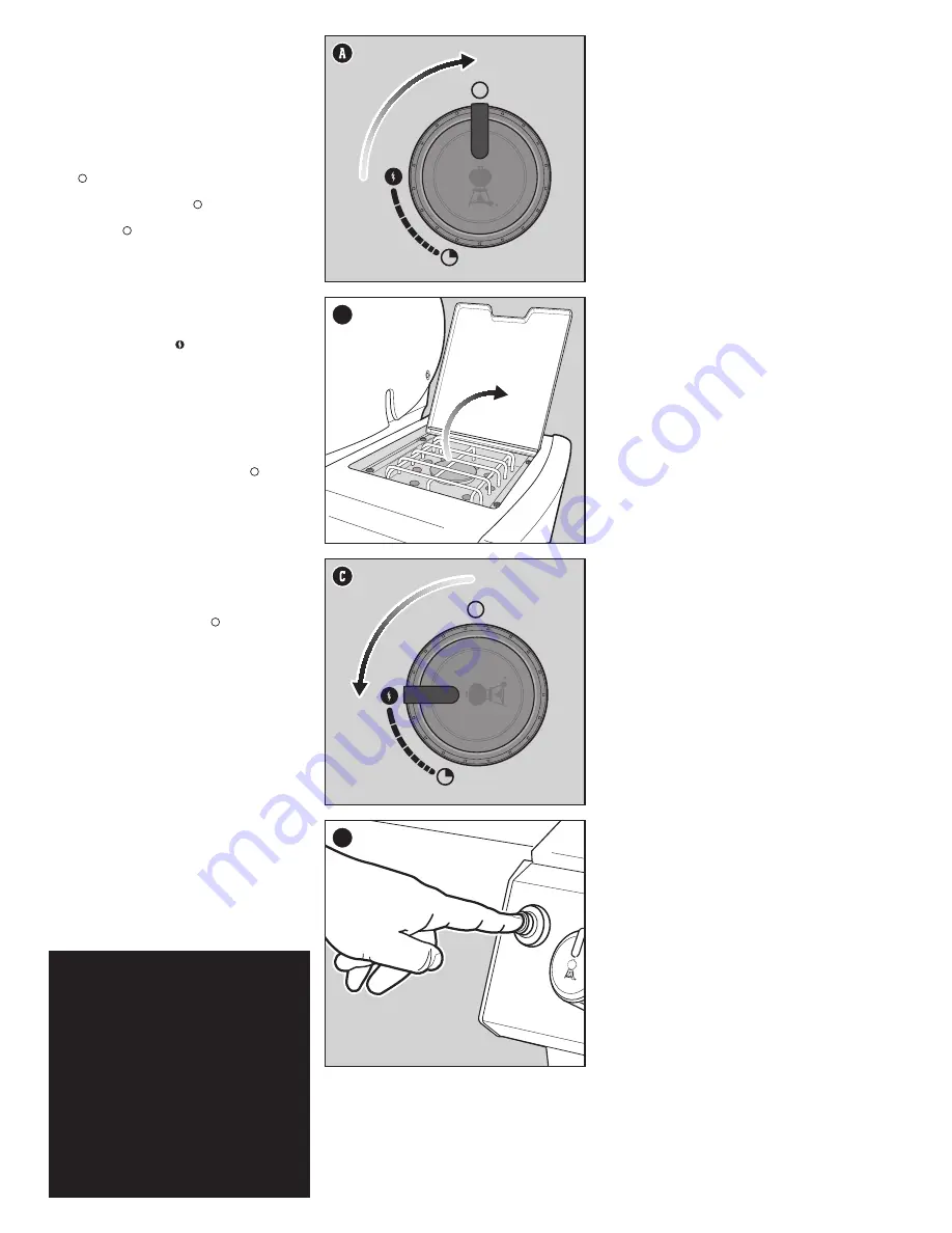 Weber GENESIS II EP-335 GBS Скачать руководство пользователя страница 15