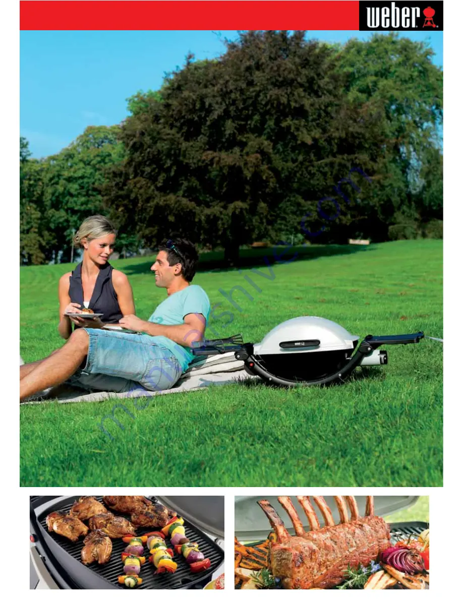 Weber Premium baby Q 100AU User Manual Download Page 3